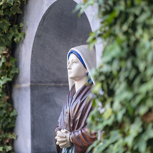 Accueil Marie Saint-Frai (ES)